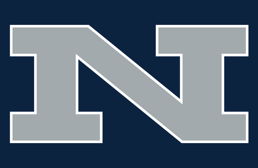Nevada Wolf Pack 1984 Helmet Logo diy iron on heat transfer